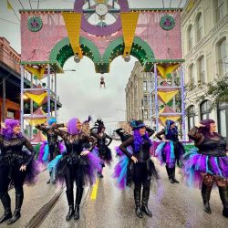 Tutu Live Krewe is the Newe Krewe for 2025!